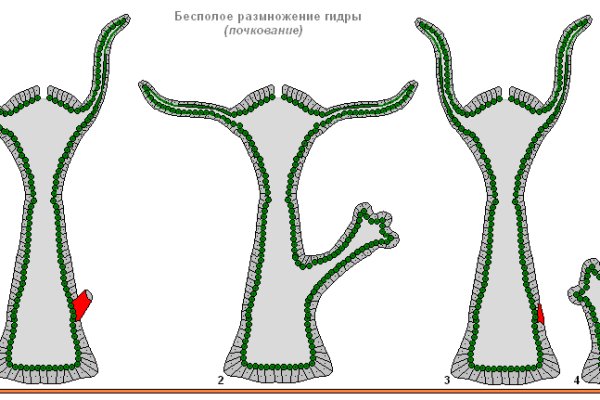 Зеркало вход кракен