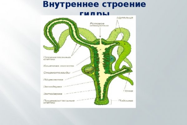 Darknet ссылка кракен kraken014 com