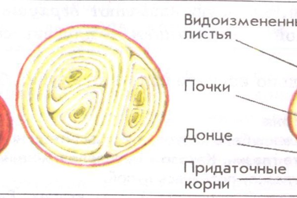 Кракен маркетплейс ссылка на сайт